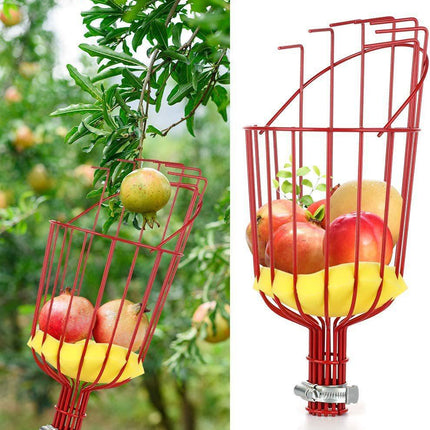 Fruit picking tool with telescopic pole - stainless steel fruit picking pole, high altitude tree fruit picking tool 4m.