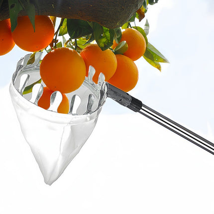 Telescoping Fruit Picker - Apple, Peach, Persimmon Harvesting Tool with Collection Bag, High Reach Fruit Catcher 2m.