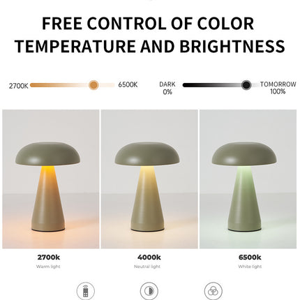 Silver Metal Mushroom Table Lamp - Rechargeable Touch Control Ambient Light with Remote.