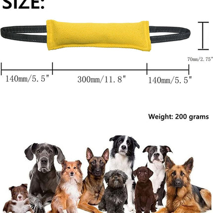 Blue Durable 2-Pack Tug-of-War Dog Training Toy - Tear-Resistant, Safe & Interactive for All Breeds.