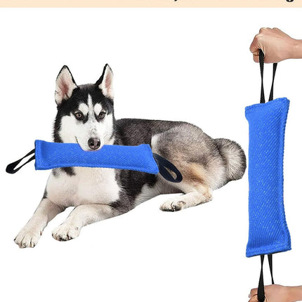 Blue Durable 2-Pack Tug-of-War Dog Training Toy - Tear-Resistant, Safe & Interactive for All Breeds.