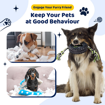 Pet Care Cartoz.