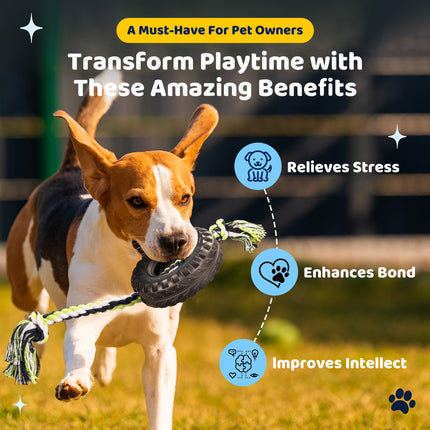 Pet Care Cartoz.