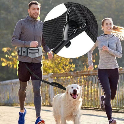 Multi-Function Dog Training Belt Bag with Water Bottle Holder - Grey.