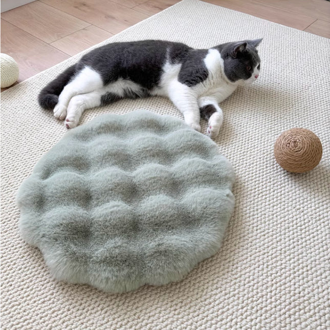 Pet Care.