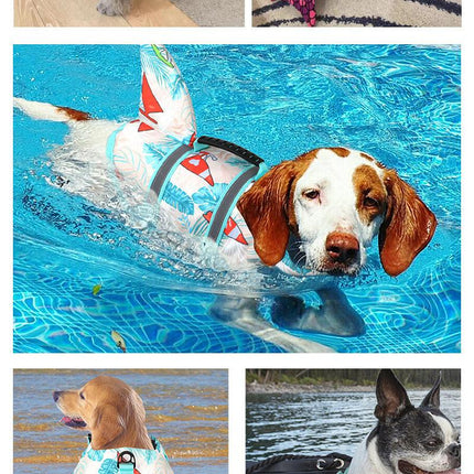 Size XL Grey Pet Life Jacket for Dogs - Summer Swimming Safety Vest with Shark Fin for Small to Large Breeds.