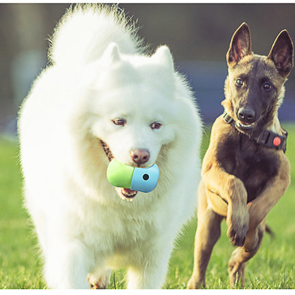 Pet Care Cartoz.