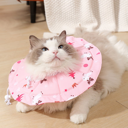 Pet Care Cartoz.