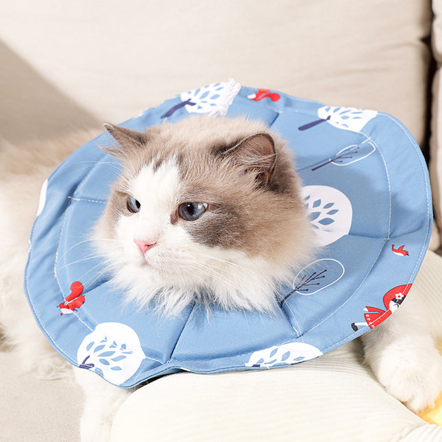 Pet Care.
