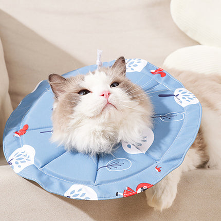 Pet Care.