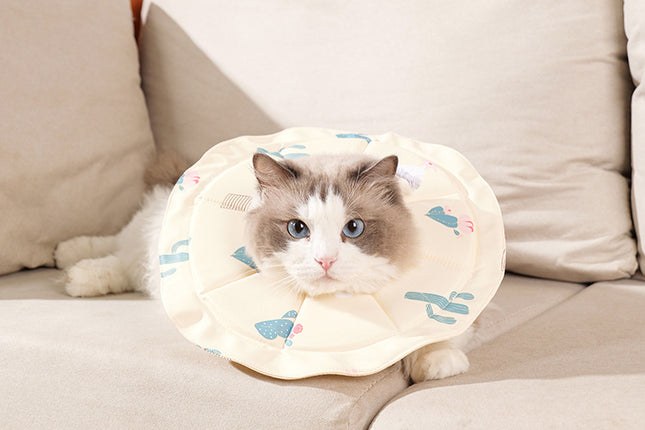 Pet Care.