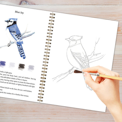 Bird 2-Pack Watercolor Painting Set - Premium Bird-Themed Coloring Books with Watercolor Paints (22.86×16.51cm) - Artist-Grade Workbook Kit.