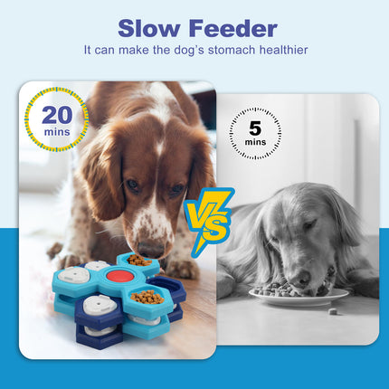 Pet Care Cartoz.