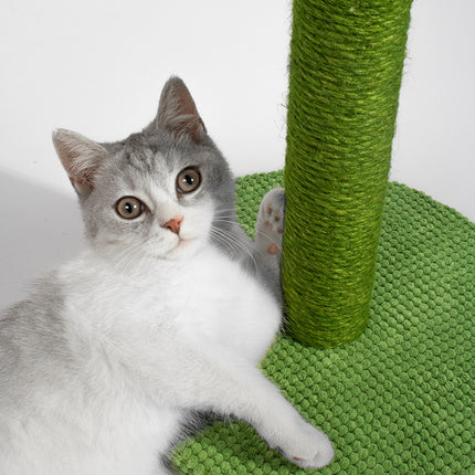 Pet Care Cartoz.