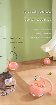 Pet Care Cartoz.