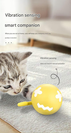 Pet Care Cartoz.