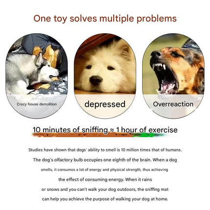Interactive Dog Snuffle Ball Toy - Puzzle Treat Dispenser with Squeaker, blue pink.