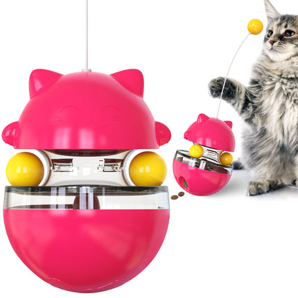 Pet Care Cartoz.