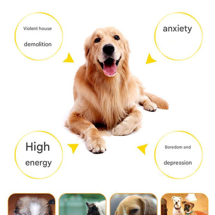 Pet Care.