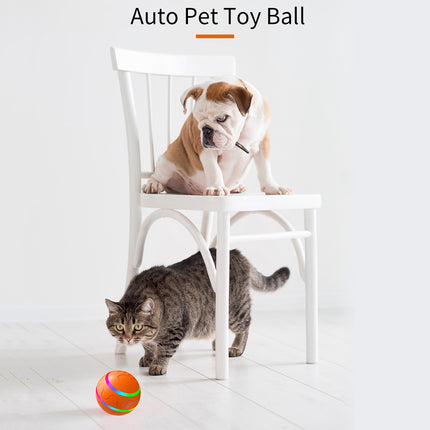 Pet Care Cartoz.