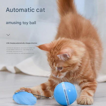 Smart USB Rechargeable Pet Interactive Rolling Ball(Gray).