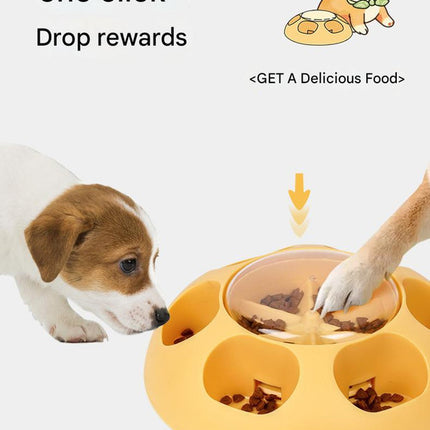 Pet Care Cartoz.