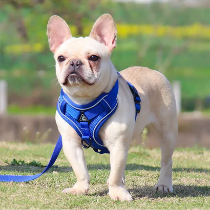 Blue Reflective Mesh Dog Harness and Leash Set - Adjustable No-Pull Vest - S.