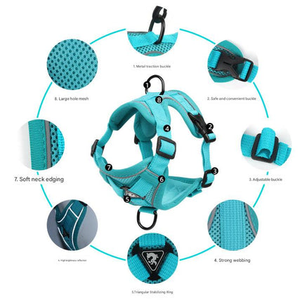 Blue Reflective Mesh Dog Harness and Leash Set - Adjustable No-Pull Vest - S.