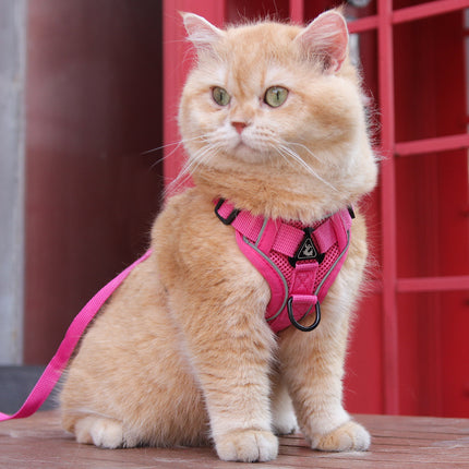 Rose Red Reflective Mesh Dog Harness and Leash Set - Adjustable No-Pull Vest - L.