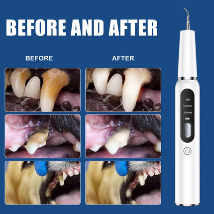 White Professional Pet Dental Cleaning Kit - Ultrasonic Scaler, Tools & 3 Modes.