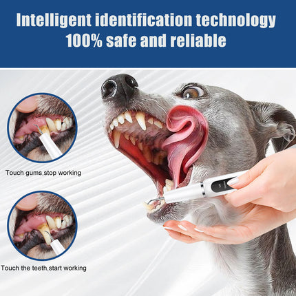 Black Professional Pet Dental Cleaning Kit - Ultrasonic Scaler, Tools & 3 Modes.
