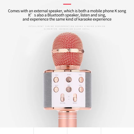Black Bluetooth 5.0 Karaoke Microphone for Family Entertainment.
