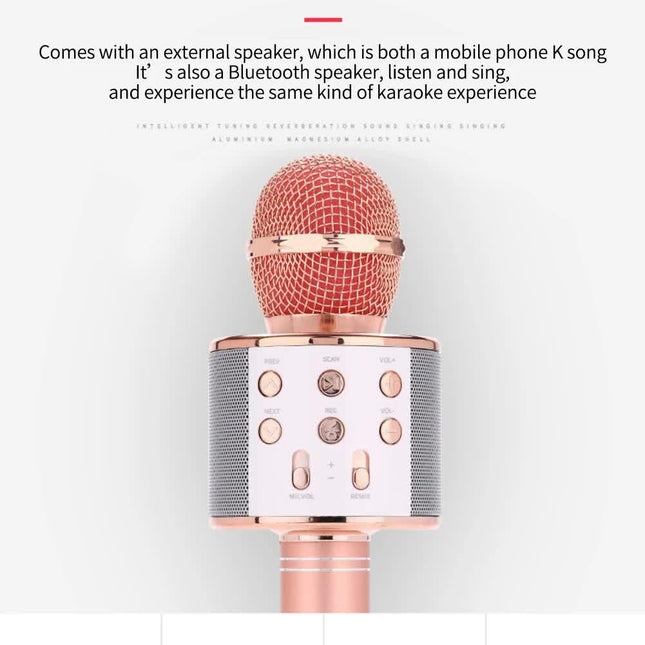 Black Bluetooth 5.0 Karaoke Microphone for Family Entertainment.