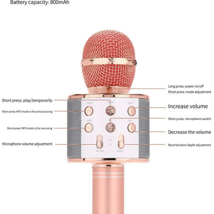Black Bluetooth 5.0 Karaoke Microphone for Family Entertainment.