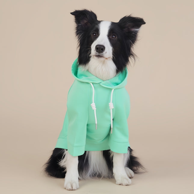 Pet Care.