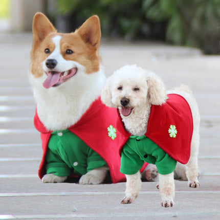 Pet Care.