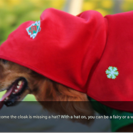 Pet Care.