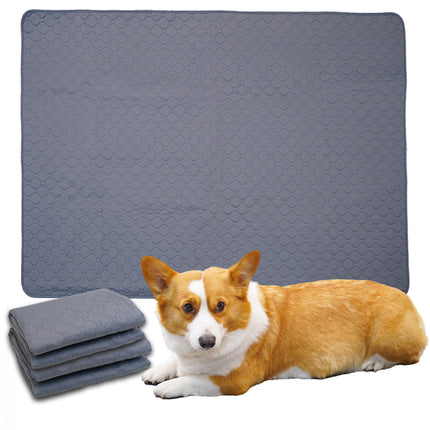 Pet Care.