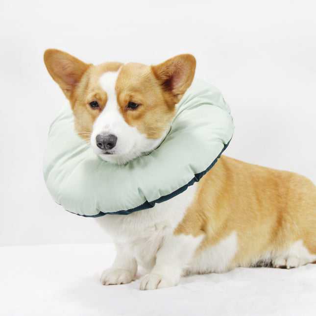 Pet Care.