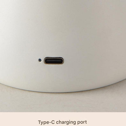 Gray Mushroom LED Table Lamp - Rechargeable, 3-Color Touch Dimmable, USB-C.