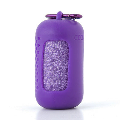Purple Quick Dry Cooling Towel Set (2 Pack) - Microfiber Sport Towels with Silicone Cases & Carabiners.