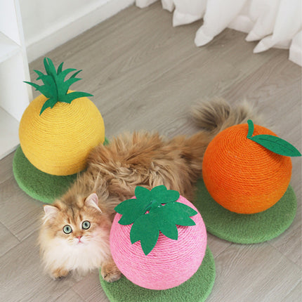 Pet Care Cartoz.