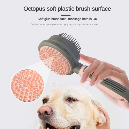 Pet Care Cartoz.