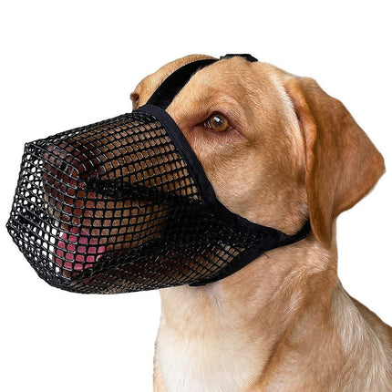 Pet Care.