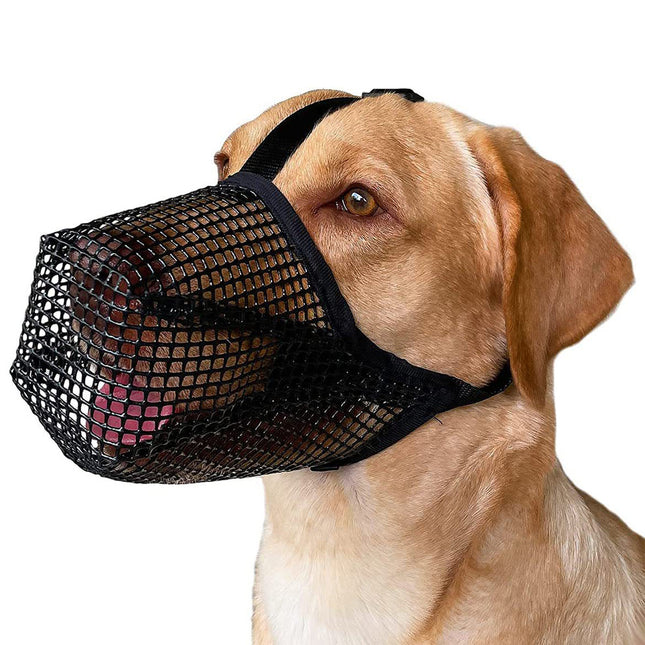 Pet Care.