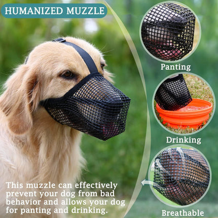 Pet Care.