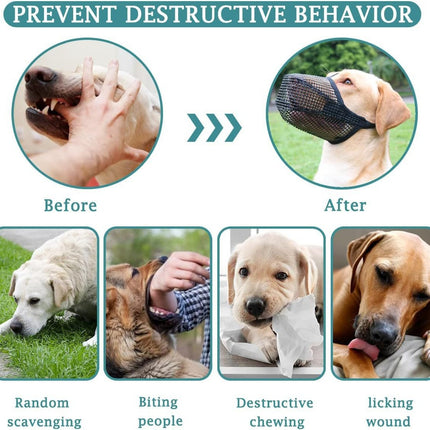 Pet Care.