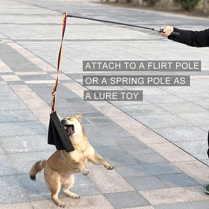 Pet Care Cartoz.
