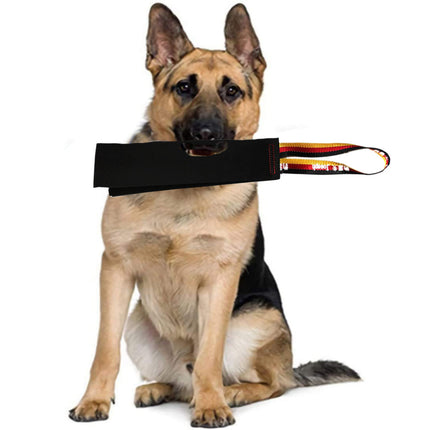 Pet Care Cartoz.