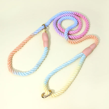 Colorful Vibrant Rainbow Ombre Rope Dog Leash - Durable Nylon P-Chain Slip Lead for Small & Medium Breeds.